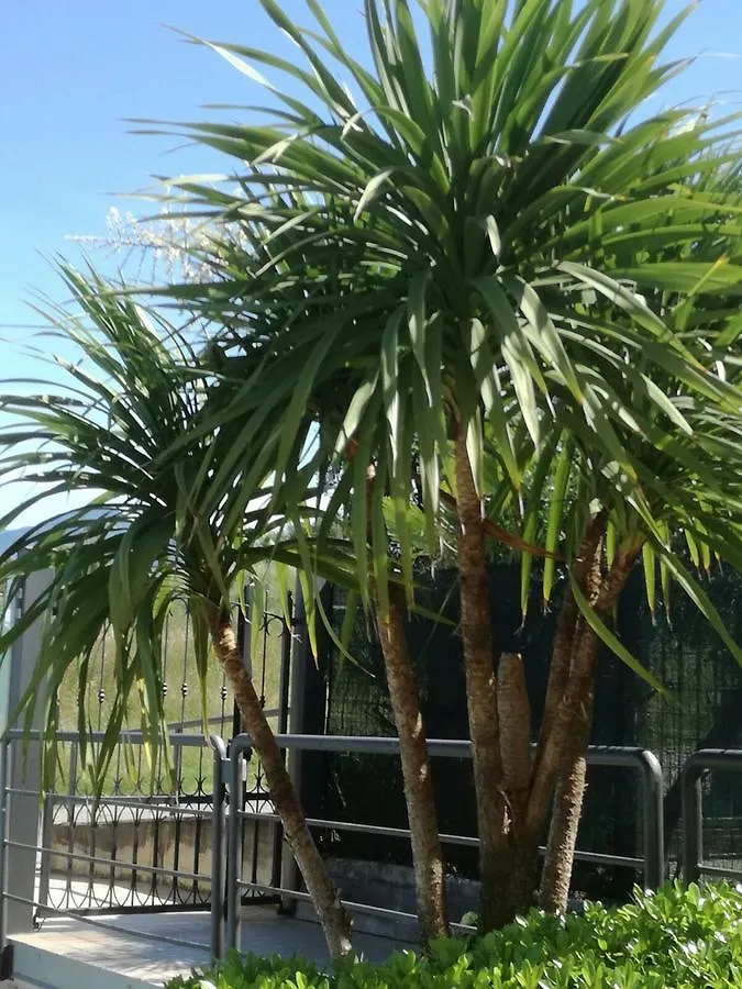 Aparthotel Residenza Orchidee Lazise